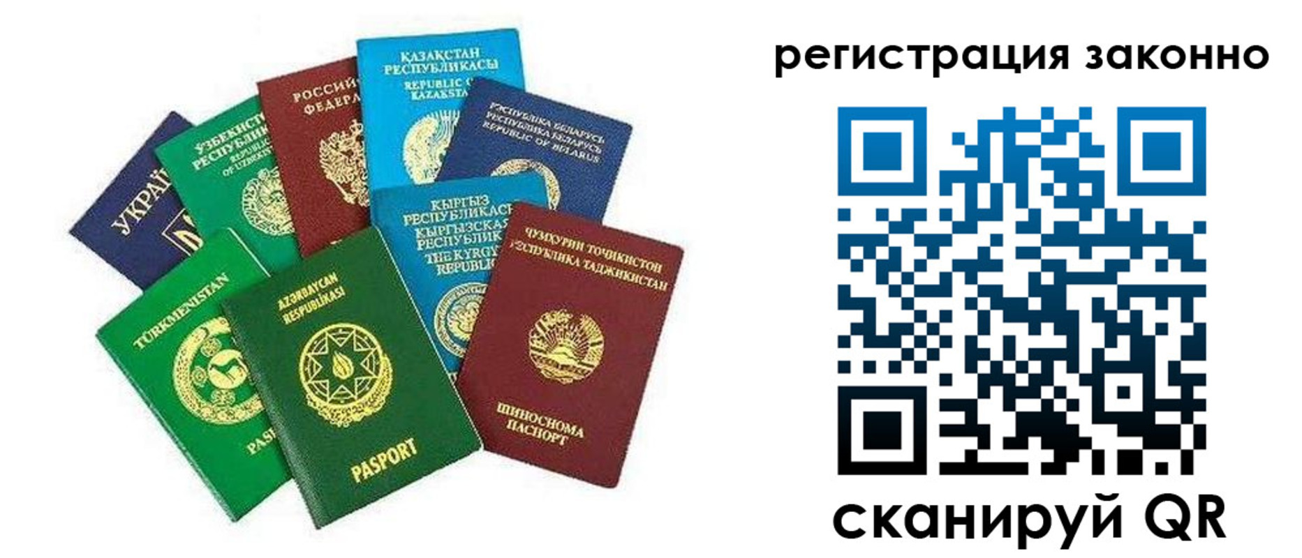 прописка 2025 в Видном